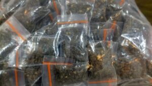 Polisi Amankan Terduga Pengedar Ganja di Ternate